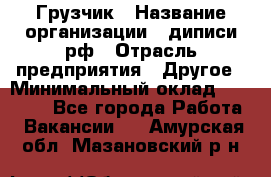 Грузчик › Название организации ­ диписи.рф › Отрасль предприятия ­ Другое › Минимальный оклад ­ 13 500 - Все города Работа » Вакансии   . Амурская обл.,Мазановский р-н